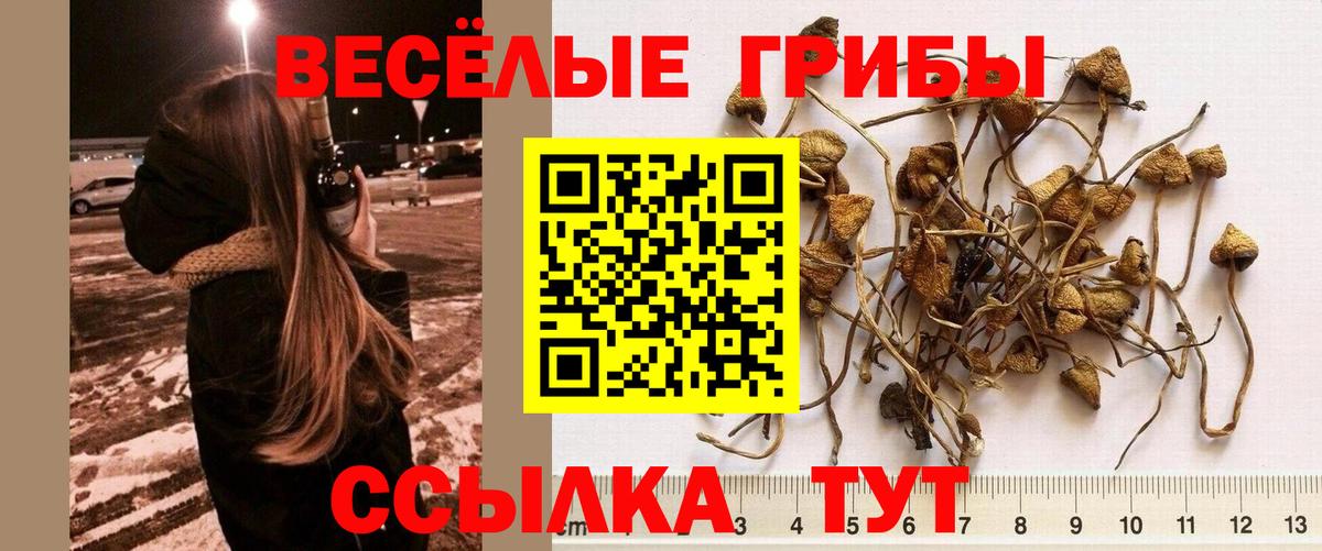 Псилоцибиновые грибы ЛСД Моршанск