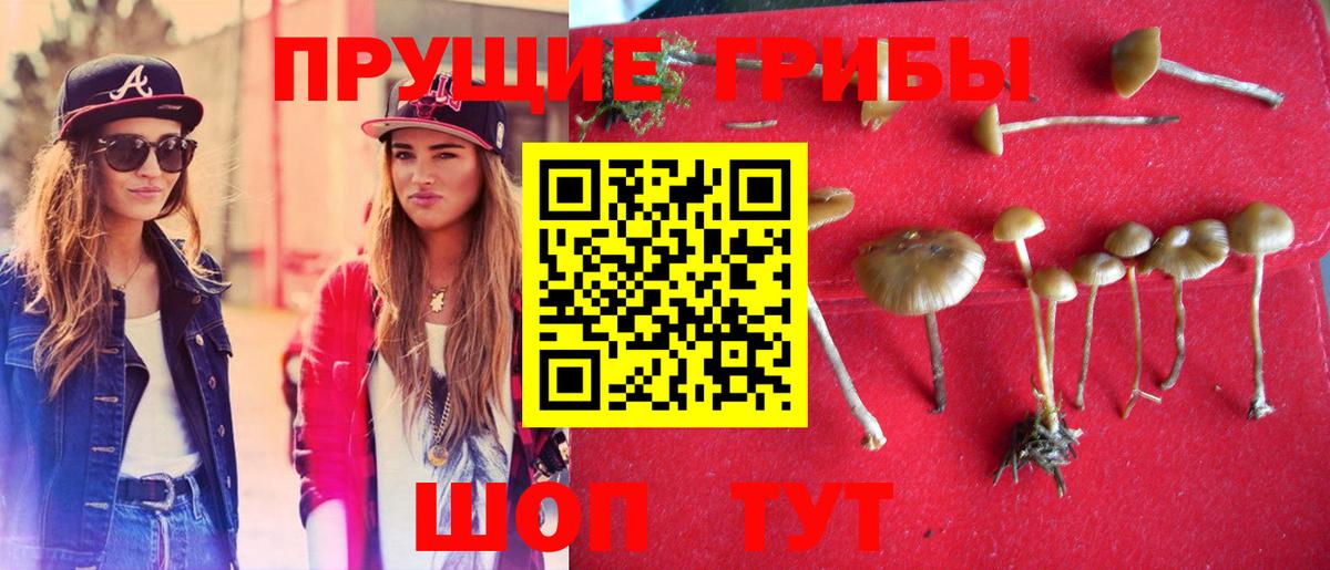 Моршанск  Галлюциногенные грибы Magic Shrooms  Вход с VPN 